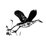 Король железнодорожных птиц в полете наброски векторные иллюстрации